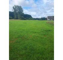 Weideland zu verpachten - 250,00 EUR Kaltmiete, ca.  0,00 m² in Suderburg (PLZ: 29556)