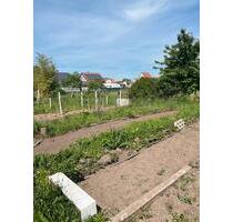 Gartengrundstück - 14,00 EUR Kaltmiete, ca.  0,00 m² in Landau in der Pfalz (PLZ: 76829)