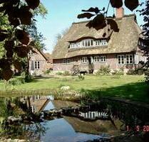 Fachwerkhaus, gr.DHH zur Miete - 1.750,00 EUR Kaltmiete, ca.  174,00 m² in Berkenthin (PLZ: 23919)