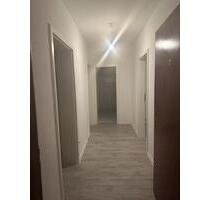 Neu-Sanierte Wohnung in Wesseling-Berzdorf zu Vermieten