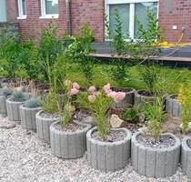 Neubau Zweizimmerwohnung mit Gartennutzung - Schwalmtal