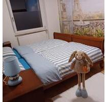 Stilvolle 3-Zimmer-Altbauwohnung in Hummelstein Mieterfrei! - Nürnberg Hasenbuck
