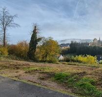 Baugrundstück - 59.999,00 EUR Kaufpreis, in Maring-Noviand (PLZ: 54484)