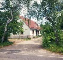 Hof in Alleinlage mit WeideWald und Hundepension - Üttfeld