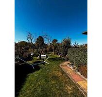 Euer Platz zum Aufblühen: Kleingarten in der KGA Greif - Papendorf