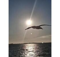 Ferienwohnung Fehmarn Südstrand