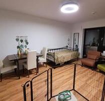 Einzimmer-Appartement ab 1.3.26 mit WBS I für Nachmieter - Meitingen