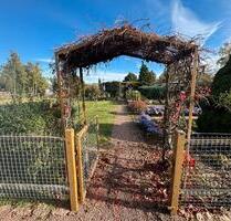 Schrebergarten in der Gartensparte Hohe Brücke e.V. In Köthen - Köthen (Anhalt)