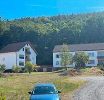 2 Häuser-1 Preis 2 FH + MHF selbstnutzen+vermieten Großheubach