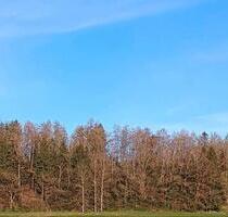 Mischwald mit kleiner Wiese - 11,00 EUR Kaltmiete, ca.  0,00 m² in Holzkirchen (PLZ: 83607)