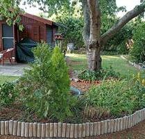 Garten zu verpachten in Vienenburg - Bad Harzburg