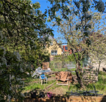 Kuschelieges Zimmer in Grosser WG Villa 450 - Berlin Pankow