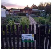 Garten zur Pacht in Groitzsch, Nähe Tennisplatz
