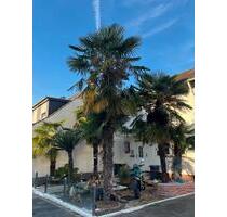 Baugrundstück porz Eil Privatstraße Wertsteigerung - Köln