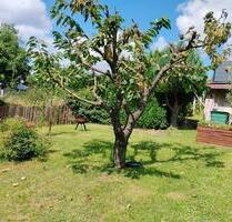 Kleingarten abzugeben - 3.000,00 EUR Kaltmiete, ca.  0,00 m² in Eisenach (PLZ: 99817)