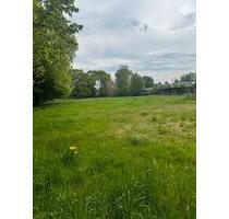 Sommerkoppel zu verpachten - 100,00 EUR Kaltmiete, ca.  0,00 m² in Erfde (PLZ: 24803)