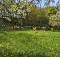 Wiese mit Obstbäumen zur Pacht - 100,00 EUR Kaltmiete, ca.  0,00 m² in Grafenau (PLZ: 71120)