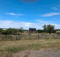 Pachtgrundstück abzugeben - 500,00 EUR Kaltmiete, ca.  0,00 m² in Meißen (PLZ: 01662)