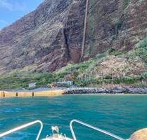Landhaus auf Madeira zu vermieten - Spalt