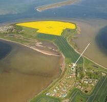 Ferienhaus – Bungalow mit Ostseeblick – Wochenendhaus - Meerblick - Neuburg