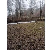 Wohnung in Steinach - 440,00 EUR Kaltmiete, in Steinach (PLZ: 96523)