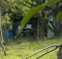 Wiesengrundstück mit Hütte - 250,00 EUR Kaltmiete, ca.  0,00 m² in Gaggenau (PLZ: 76571)