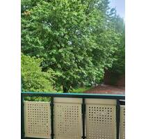 3 RAUM WOHNUNG FRISCH RENOVIERT MIT BALKON - Gera Alt-Taubenpreskeln
