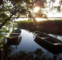 Ferienhaus am See mit Angelboot Mecklenburg Schwerin Ostsee Hund
