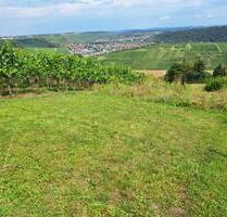 Garten zu verpachten - 240,00&nbsp;EUR Kaltmiete, ca.&nbsp; 0,00&nbsp;m&sup2; in Besigheim (PLZ: 74354)