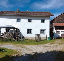 Appartment zu vermieten ab sofort - Kirchberg im Wald