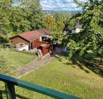 Schrebergarten in Kleingartenanlage in Trier West 600qm