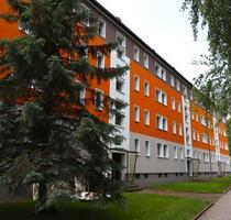 Oase, Rückzugsort oder einfach ein schönes Zuhause - Chemnitz Altendorf