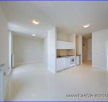 2-Raum-DG mit Terrasse und Dachgarten in Uninähe frei ab sofort - Dresden Prohlis