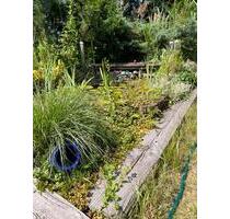 Frühjahr 2026 im eigenen Kleingarten b. Magdeburg genießen - Wolmirstedt