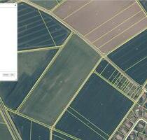 Ackerfläche zur Pacht in Hungen Steinheim 915 qm - Frankfurt am Main Sossenheim