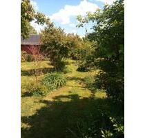 Garten in Zeulenroda - 1.500,00 EUR Kaltmiete, ca.  0,00 m² in Zeulenroda-Triebes (PLZ: 07937)