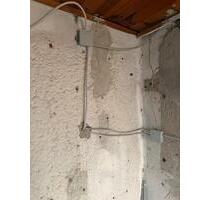 Garten zum ankommen - 1.000,00 EUR Kaltmiete, ca.  0,00 m² in Torgau (PLZ: 04860)