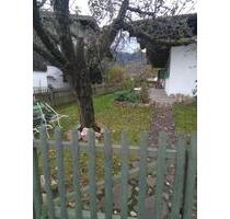 1 Zimmer Erdgeschoss Appartment in ruhiger Lage - Staudach-Egerndach