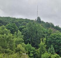 3-Zimmer -Wohnung Balkon Ausblick ins Grüne in Schlangenbad