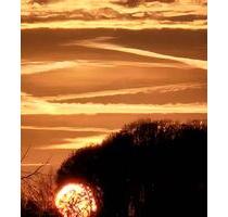 Erdgeschoss Oase in Hettstedt 2FH