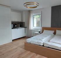Helles, modernes 1-Zimmer-Apartment in Marktheidenfeld