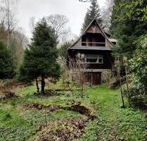 Großes naturbelassenes Grundstück in Sonneberg-Hüttensteinach