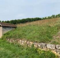 Garten Grundstück mit kleiner Hütte - Walheim