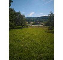 Wiesengrundstück im Remshalden - 4.000,00 EUR Kaltmiete, ca.  0,00 m² in Remshalden (PLZ: 73630)