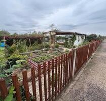 Kleingarten Großzschocher abzugeben - Leipzig Südwest