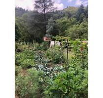 Schönes Garten- und Freizeitgrundstück an der Nagold zu verkaufen - Pforzheim Eutingen