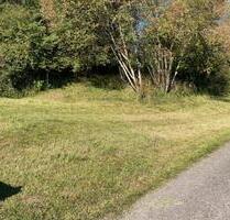 Weide für Kleinvieh - 10,00 EUR Kaltmiete, ca.  0,00 m² in Immenstadt im Allgäu (PLZ: 87509)