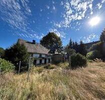 EFH Clausnitz - Rechenberg Bienenmühle mit großem Grundstück und Garage SP - Frauenstein