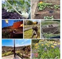 Pacht Garten in Kleingartenverein - Saalfeld (Saale)