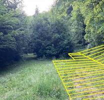 500 qm FreizeitgrundstückErholungsfläche mit Bachlauf zur Pacht - Bollendorf